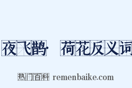 夜飞鹊·荷花反义词是什么意思的图片